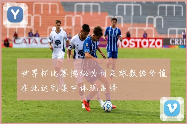 世界杯比赛揭秘为何足球数据价值在此达到集中体现高峰