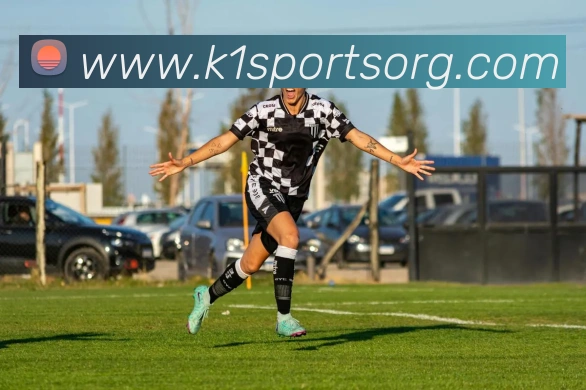 K1体育平台生态图