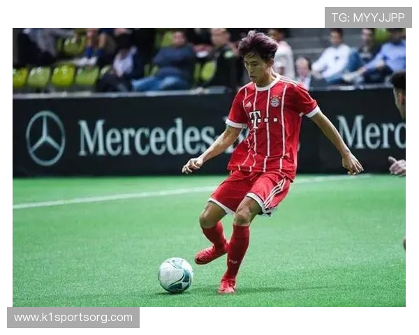 德甲球队球迷人数最新统计与支持度排行榜